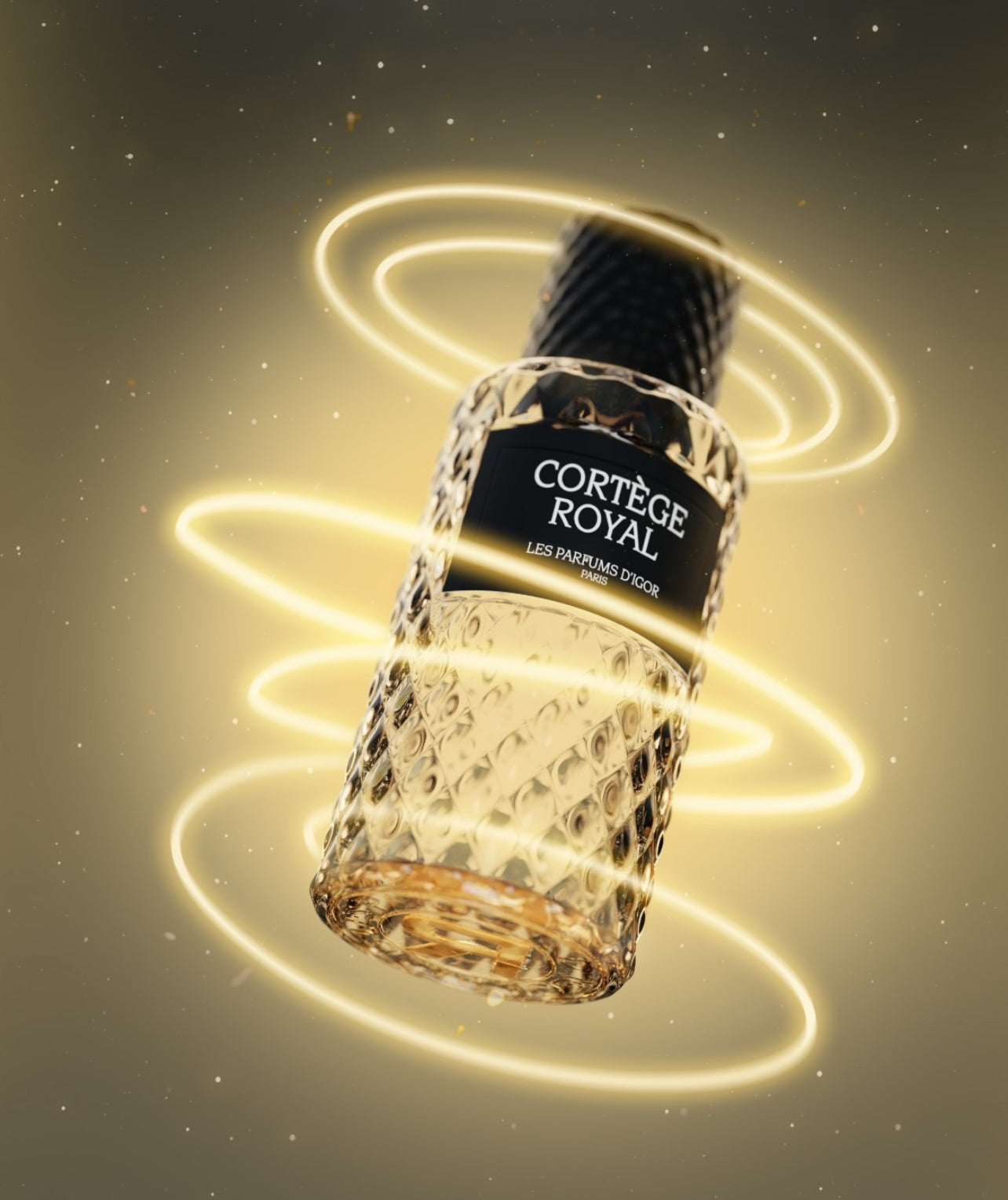 Cortège royal by igor